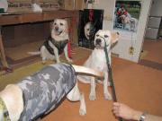 ファイル 1005-3.jpg