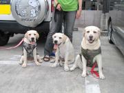 ファイル 1005-5.jpg