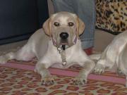 ファイル 1069-2.jpg