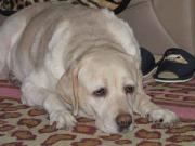 ファイル 1069-3.jpg