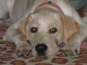 ファイル 1069-4.jpg