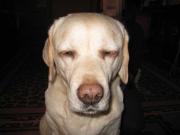 ファイル 1138-1.jpg