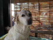 ファイル 1138-2.jpg