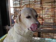 ファイル 1138-3.jpg