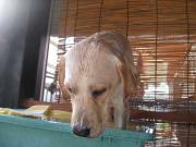 ファイル 1138-4.jpg