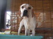 ファイル 1138-5.jpg