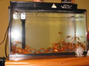 ファイル 1294-2.jpg