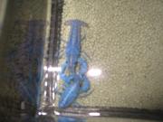 ファイル 1294-3.jpg