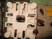 ファイル 1300-1.jpg