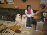 ファイル 1315-1.jpg