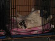 ファイル 1315-5.jpg