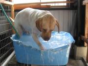 ファイル 1424-1.jpg