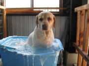 ファイル 1424-2.jpg