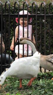 ファイル 1438-1.jpg