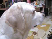 ファイル 987-2.jpg