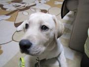 ファイル 987-4.jpg