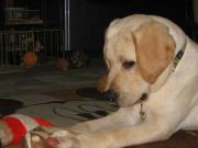 ファイル 992-3.jpg