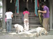 ファイル 996-1.jpg