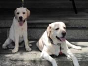 ファイル 996-2.jpg