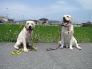 ファイル 996-3.jpg