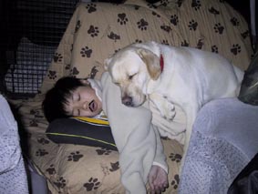 ���`��ꂽ�I