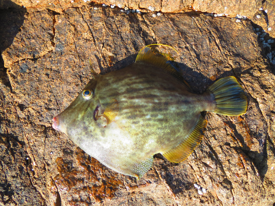 3470-2.jpg 3470-2.jpg