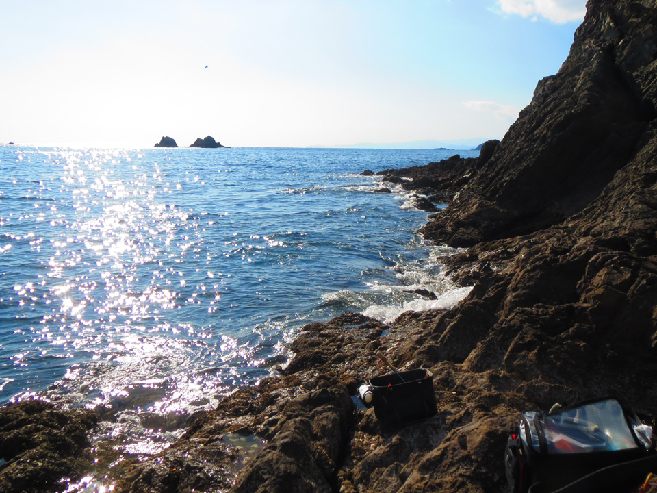 3470-3.jpg 3470-3.jpg