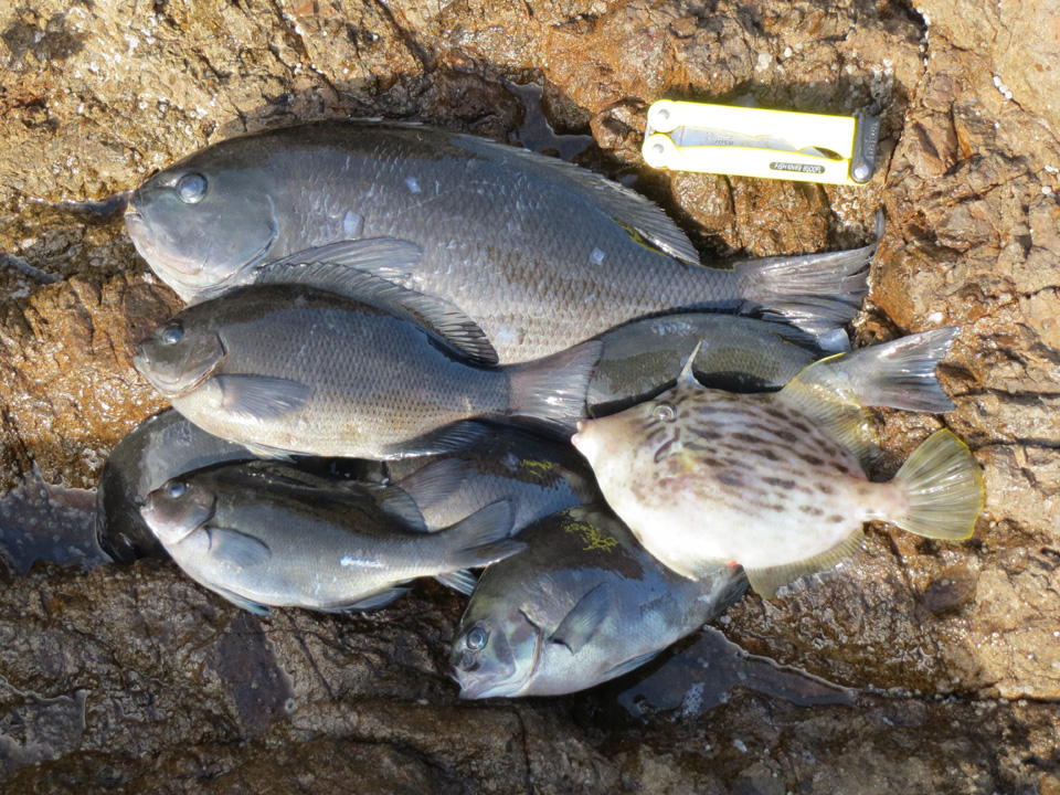 3473-2.jpg 3473-2.jpg