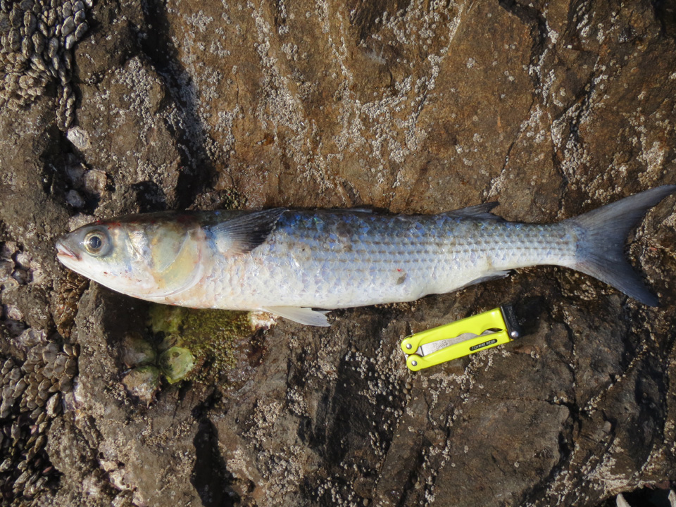 3473-3.jpg 3473-3.jpg