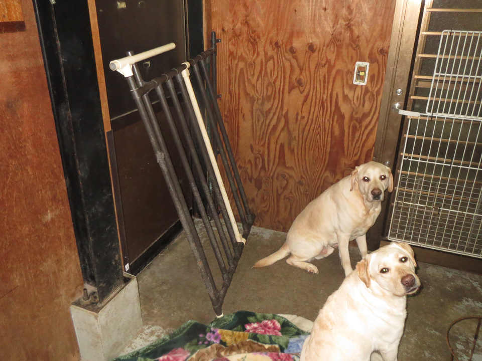 IMG_6774.jpg IMG_6774.jpg