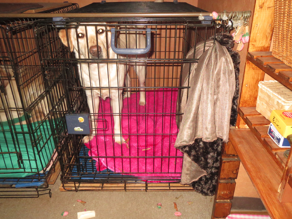 IMG_6778.jpg IMG_6778.jpg