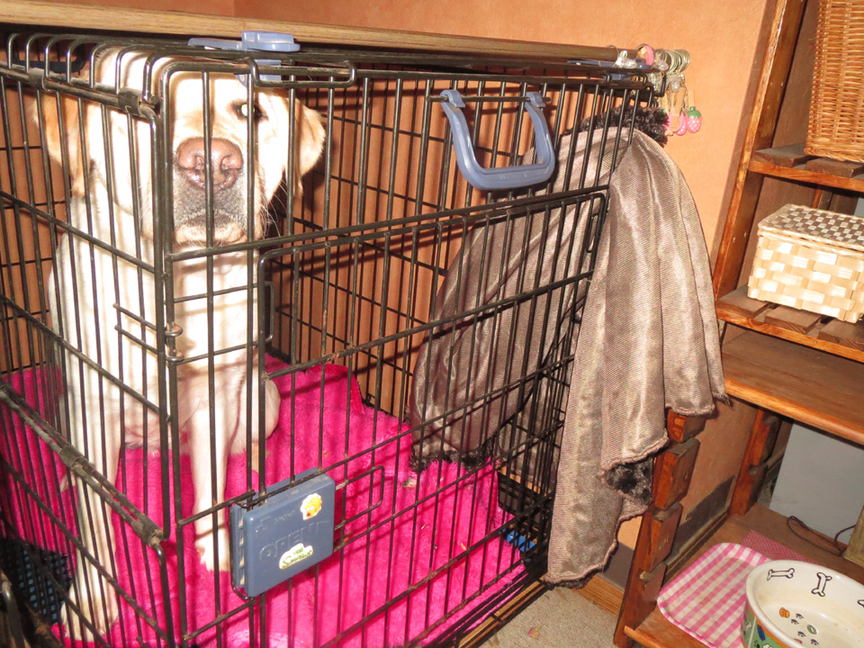 IMG_6779.jpg IMG_6779.jpg