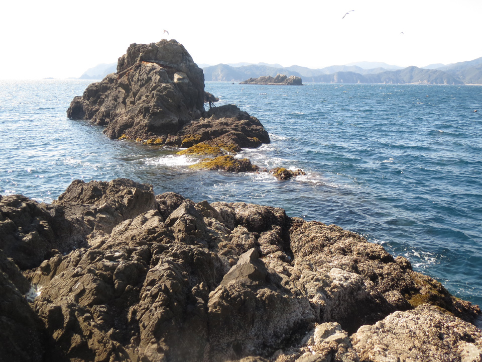 IMG_6804.jpg IMG_6804.jpg