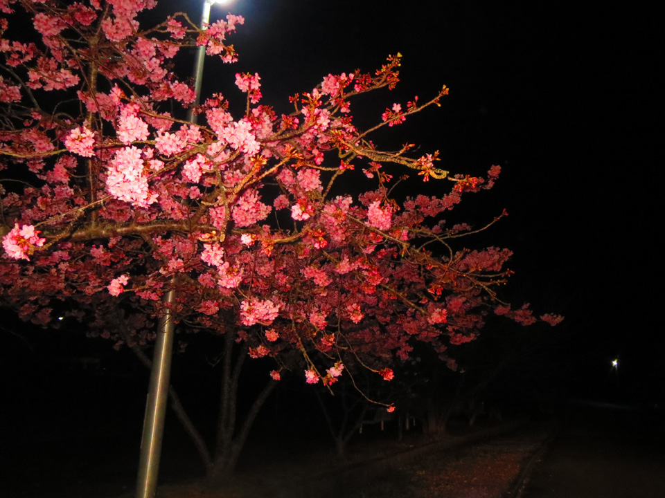 IMG_6820.jpg IMG_6820.jpg