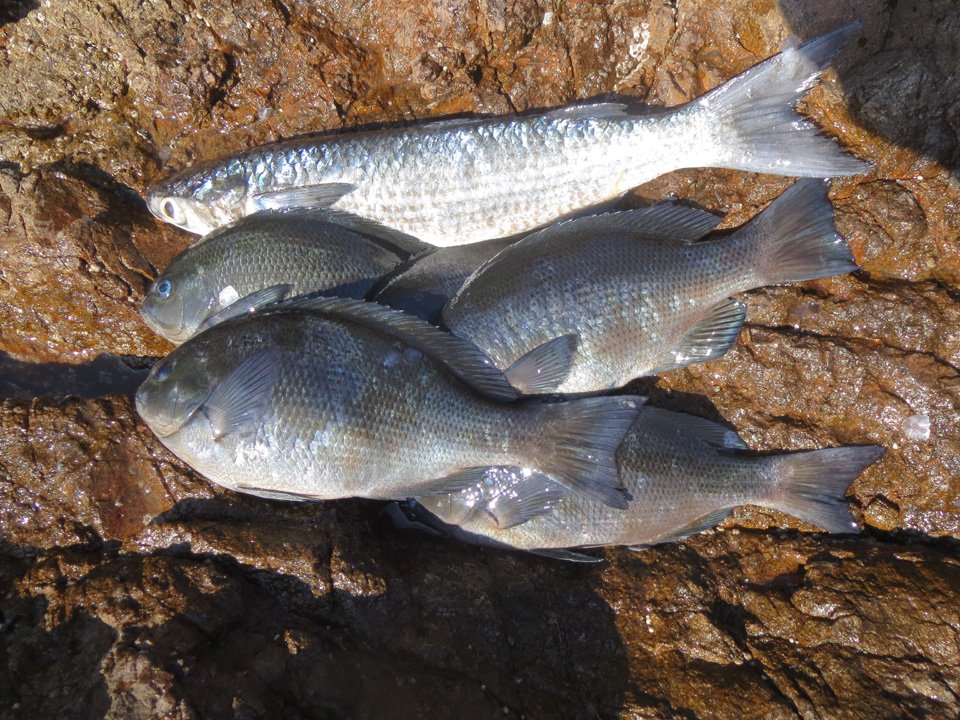 IMG_6822.jpg IMG_6822.jpg