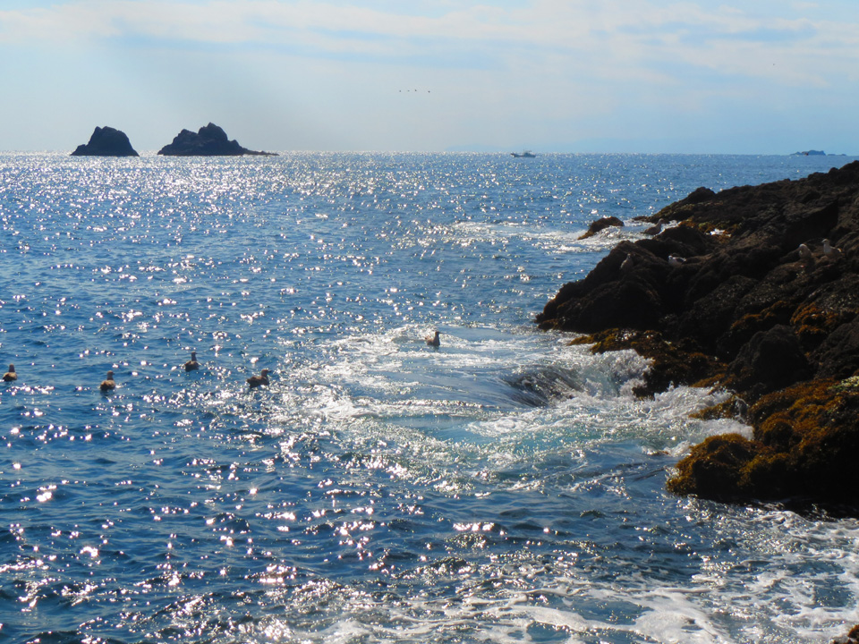 IMG_6826.jpg IMG_6826.jpg