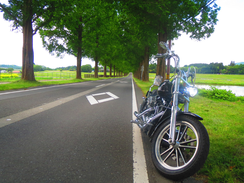 IMG_7025.jpg IMG_7025.jpg