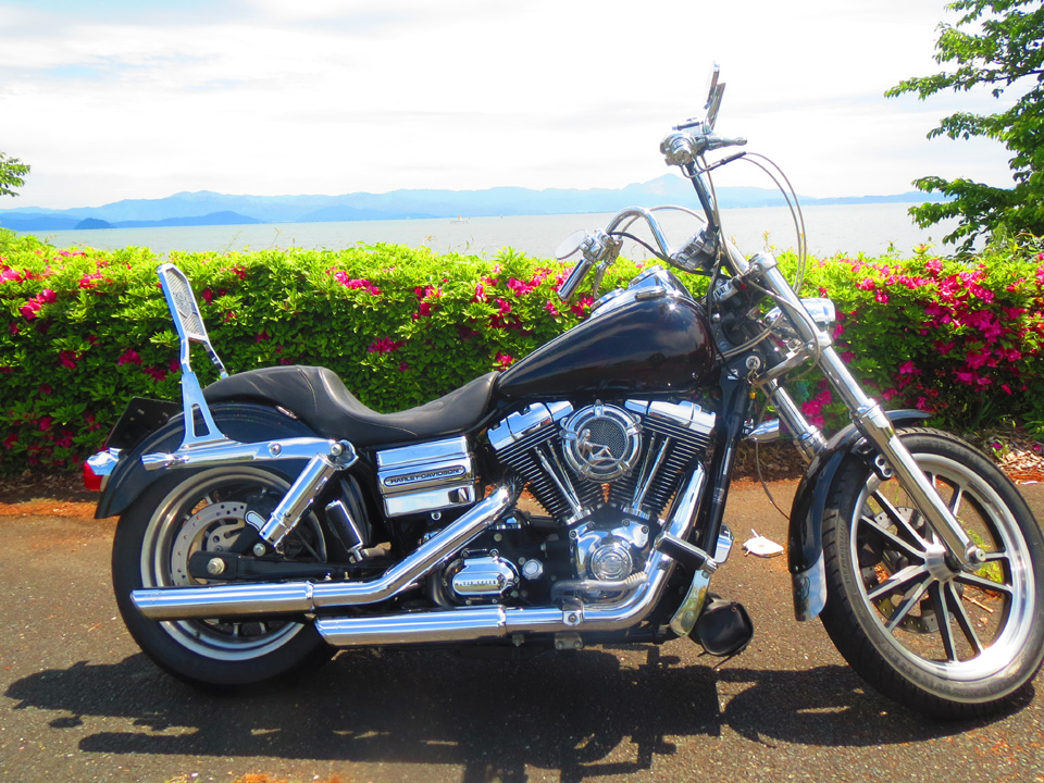 IMG_7041.jpg IMG_7041.jpg