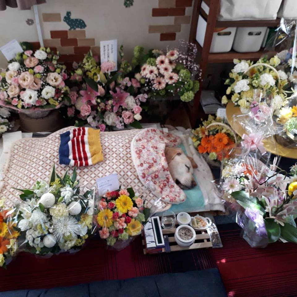 30530803_997657397064651_884116634174750720_n.jpg 30530803_997657397064651_884116634174750720_n.jpg