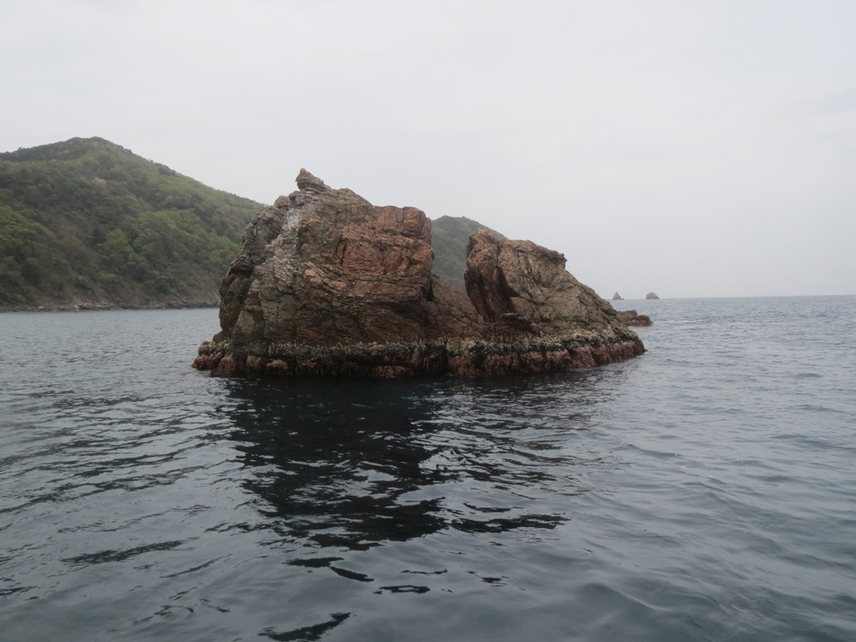 IMG_7812.jpg IMG_7812.jpg