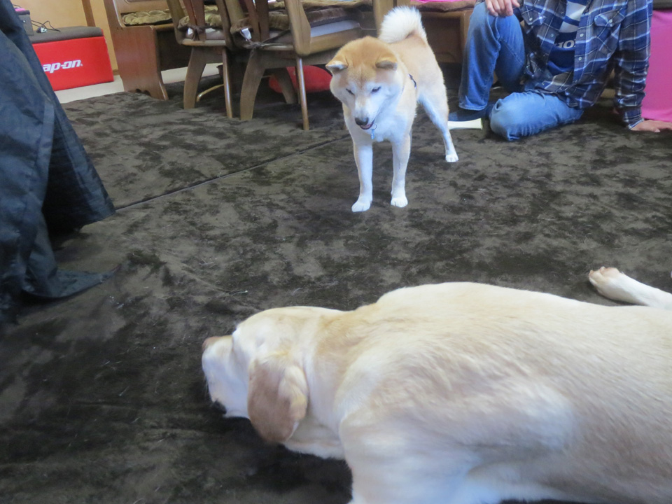 IMG_7819.jpg IMG_7819.jpg