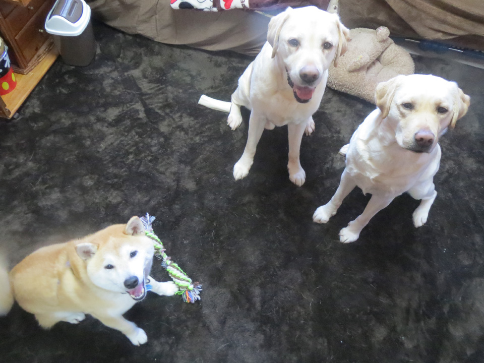 IMG_7820.jpg IMG_7820.jpg