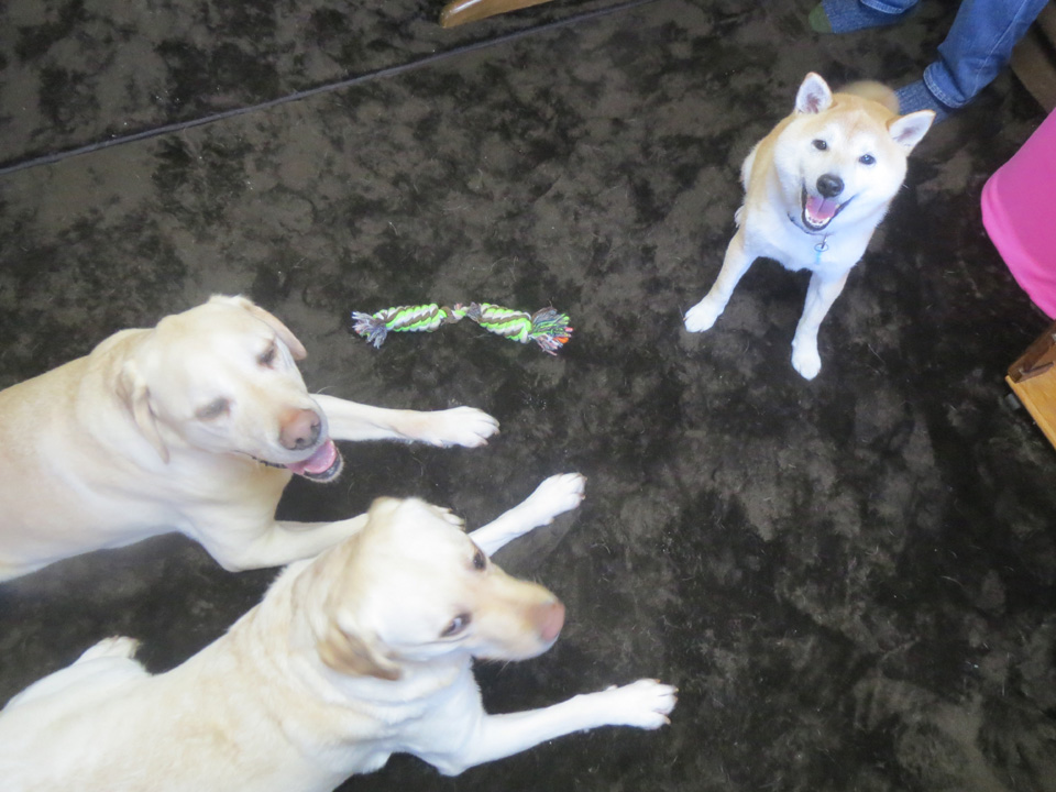 IMG_7821.jpg IMG_7821.jpg