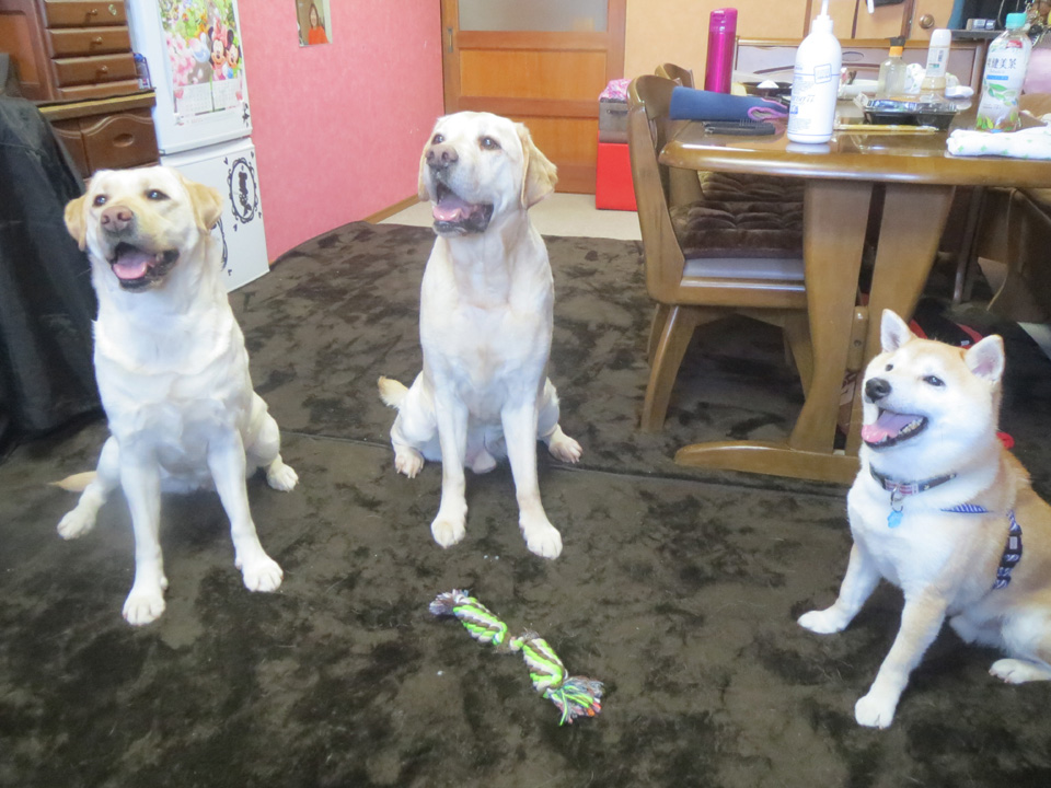 IMG_7824.jpg IMG_7824.jpg