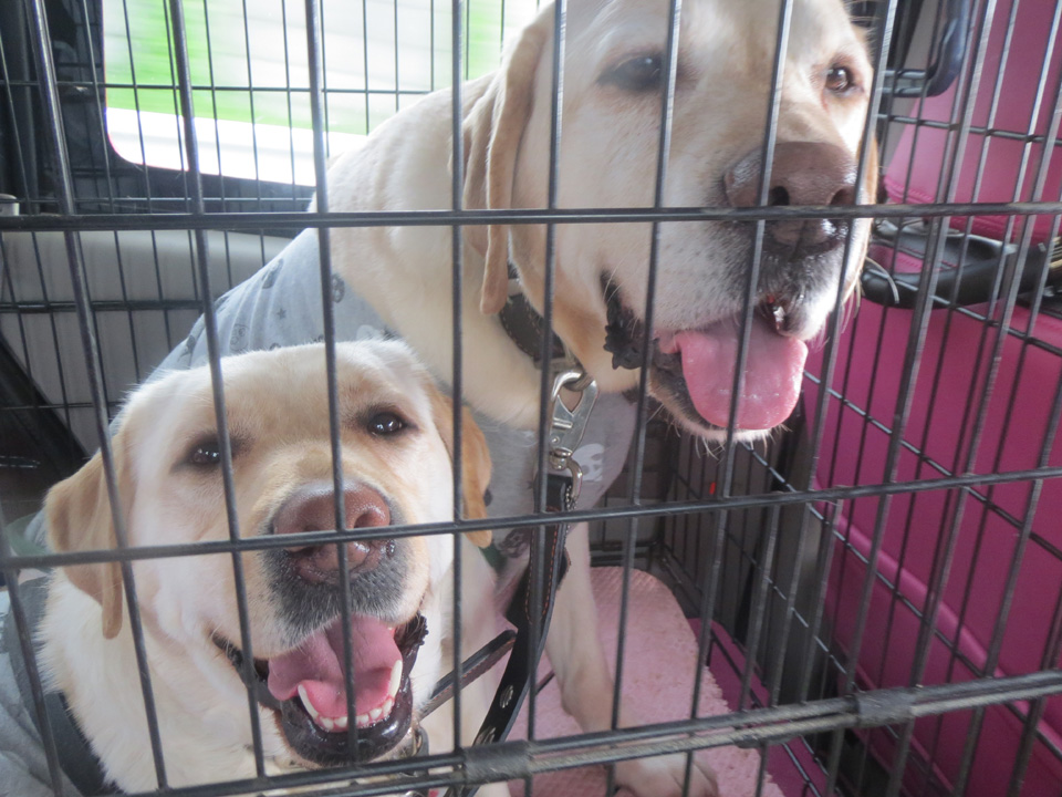 IMG_7835.jpg IMG_7835.jpg