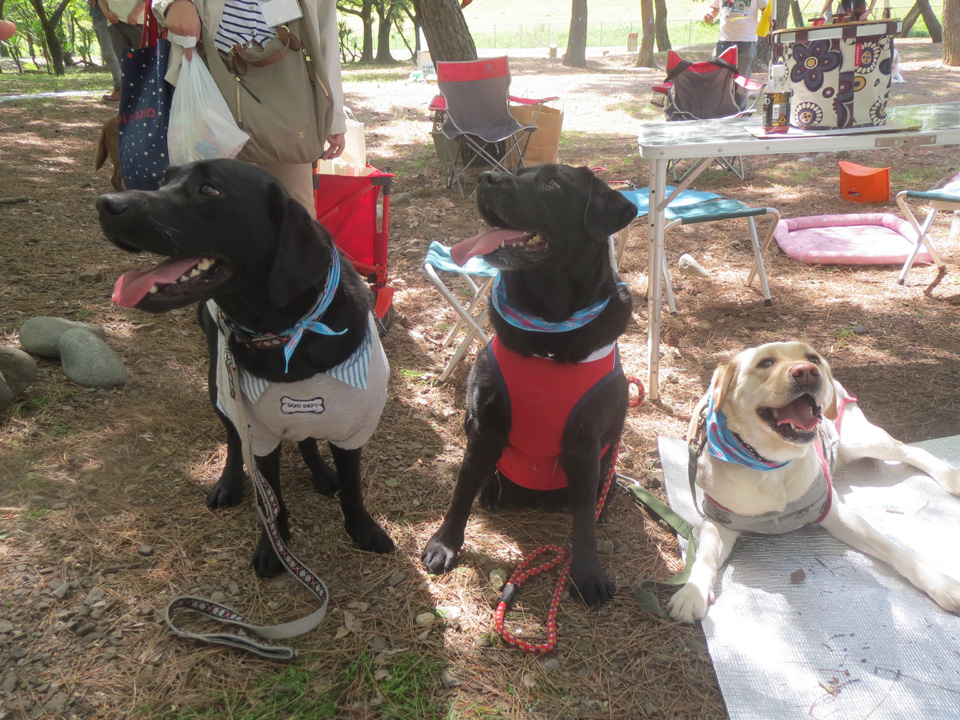 IMG_7848.jpg IMG_7848.jpg