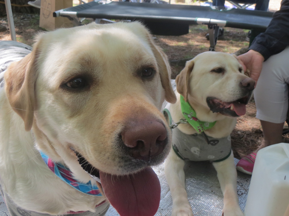 IMG_7852.jpg IMG_7852.jpg