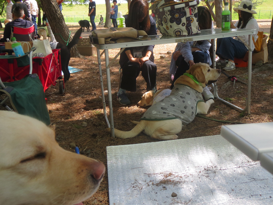 IMG_7855.jpg IMG_7855.jpg