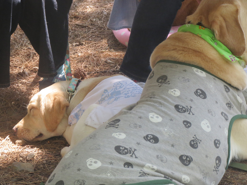 IMG_7856.jpg IMG_7856.jpg