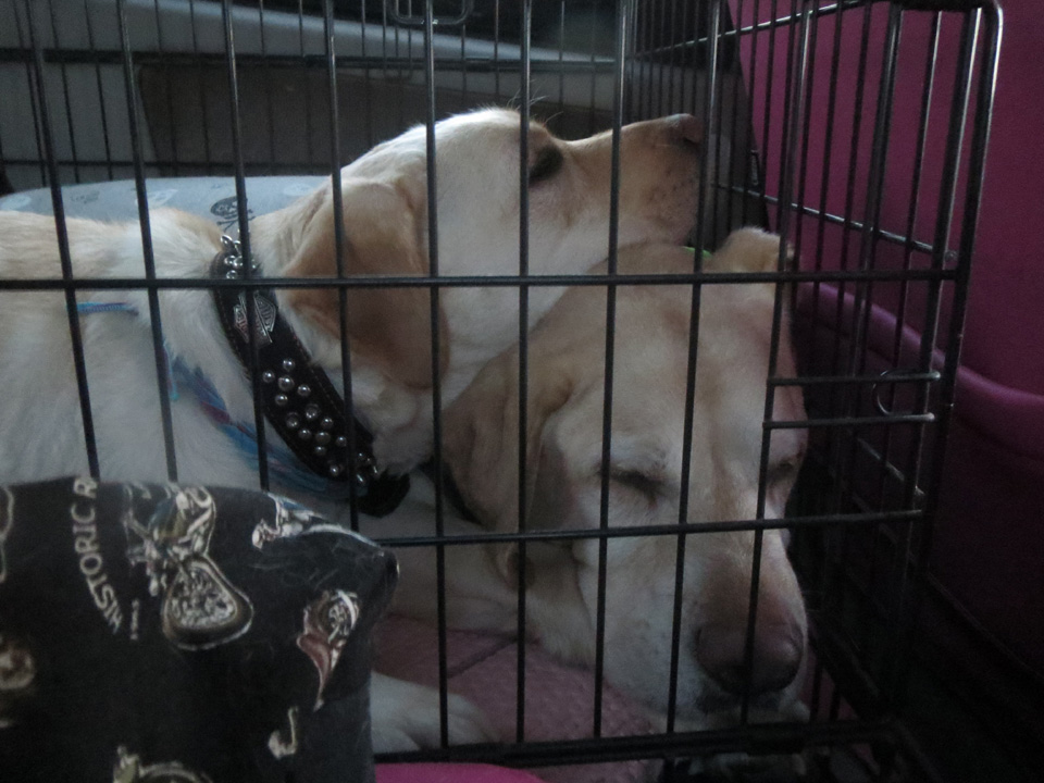 IMG_7876.jpg IMG_7876.jpg